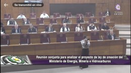 Representantes de la Asociación de Geólogos del Paraguay participaron en la reunión Conjunta para analizar proyecto de Ley para la creación del Ministerio de Energía, Minas e Hidrocarburos.